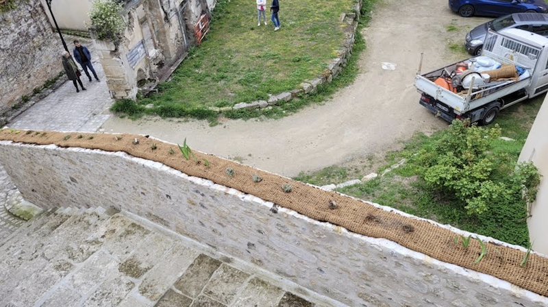 Le mur du Grimpereau prend vie