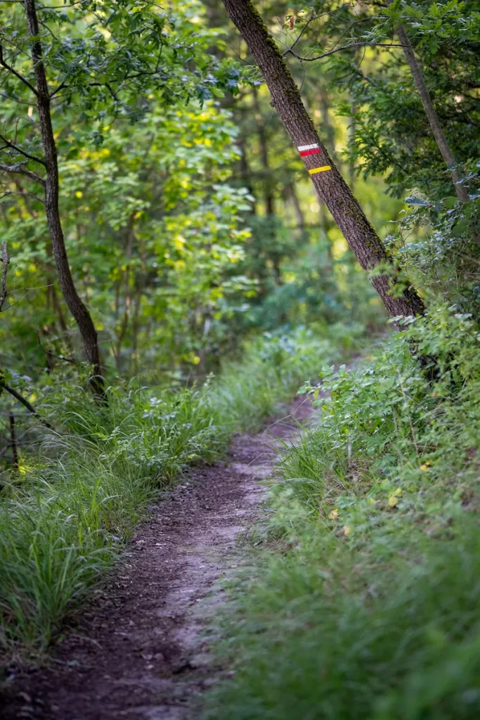 Chemin de randonnée à la Roche-Guyon