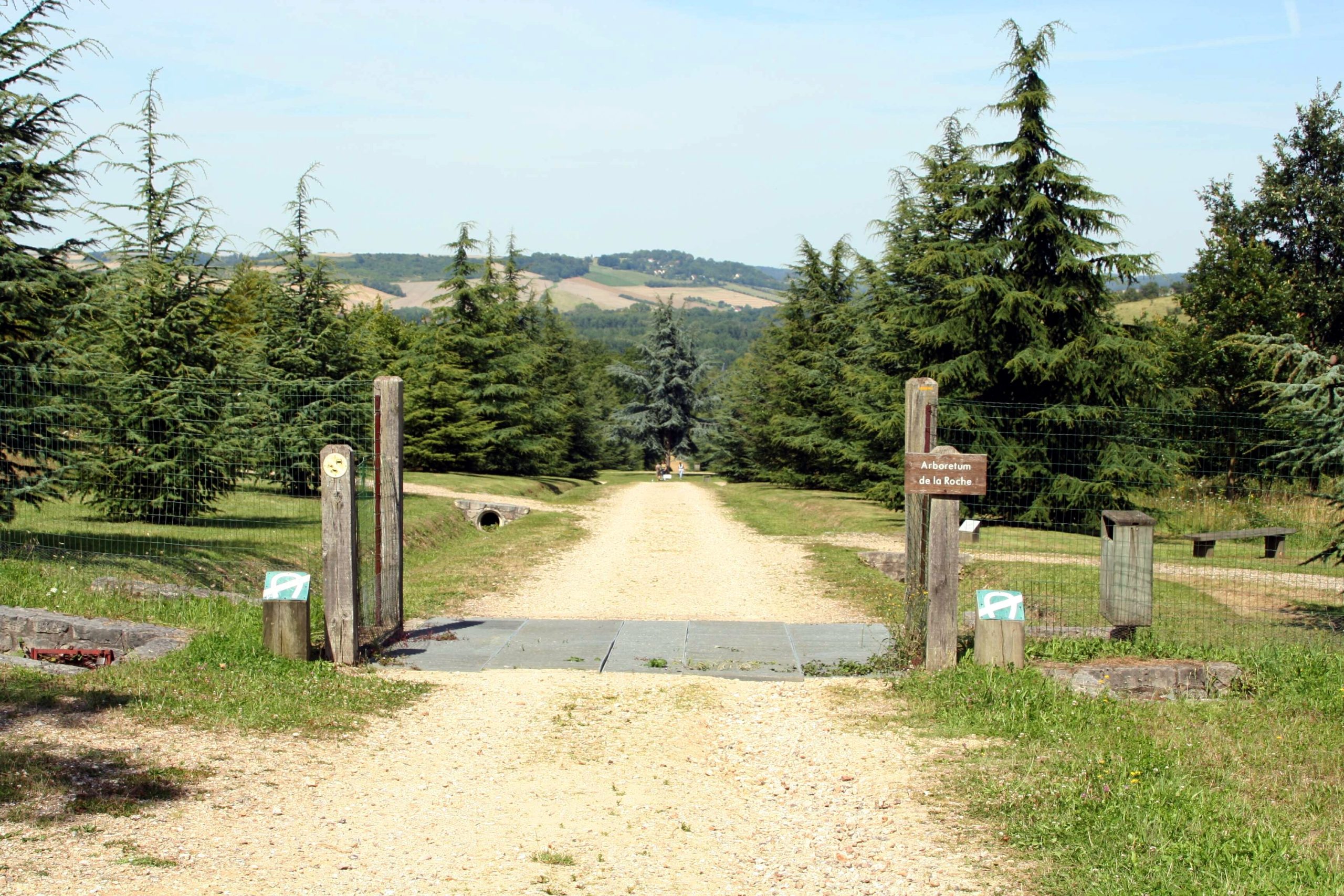 Saison de chasse 2026-2027 en Forêt régionale de la Roche-Guyon : les dates à connaître